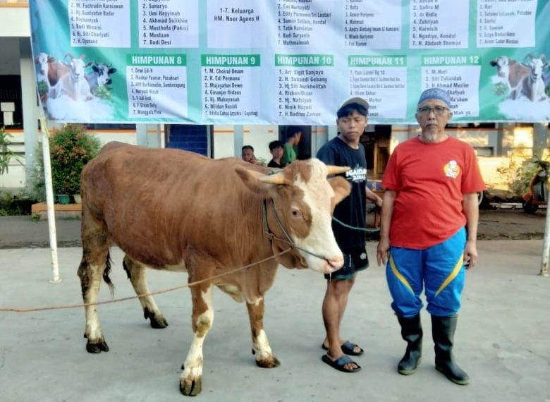 Qurban Bukan Milik Orang Kaya: Cerita Perjuangan di Masjid An Nur